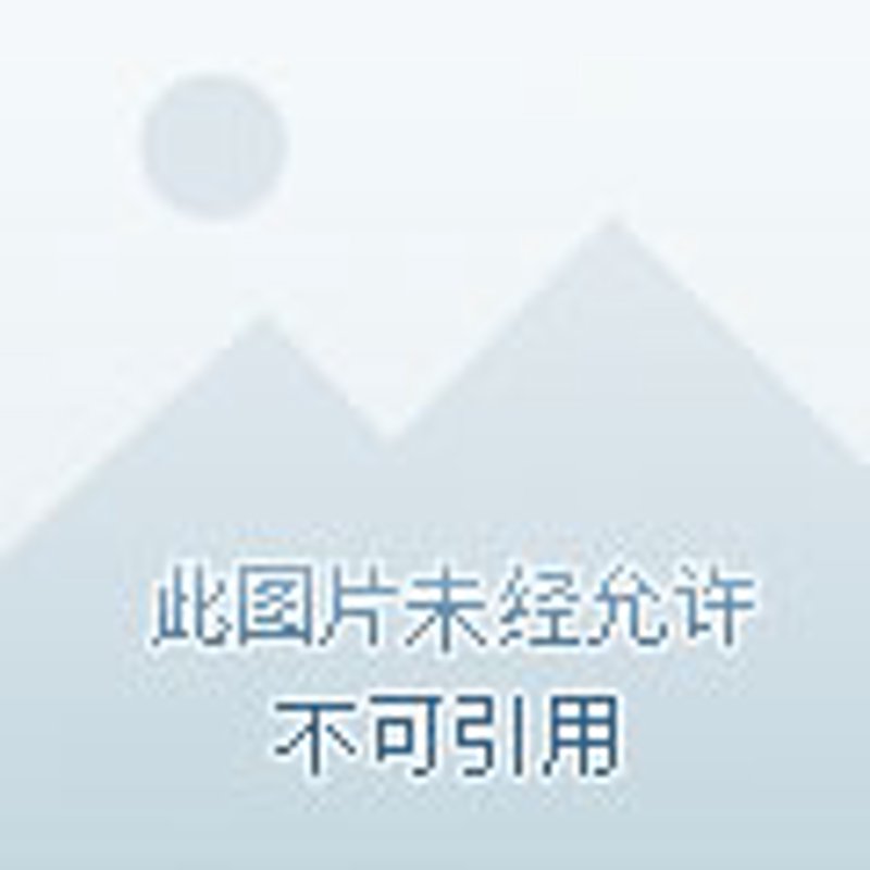 在探索陶瓷艺术的道路上,每一件精美的茶具都是一个故事。今天就让我们一起走进德化陶瓷茶具的世界,通过一系列精选的茶具图片,感受那份来自东方的艺术魅力。